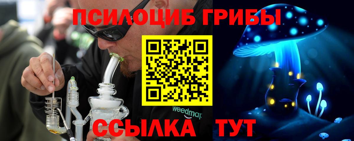 Псилоцибиновые грибы GOLDEN TEACHER  Вход с VPN  Новошахтинск  Псилоцибиновые грибы ЛСД 